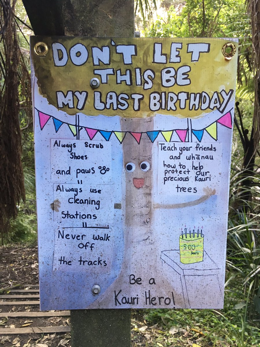 beyond_fence's tweet photo. Love these #kauridieback posters made by local students in Birkenhead for Le Roys Bush #ConservationWeek Don’t Let This Be My Last Birthday! https://t.co/LYSNbWIIpb