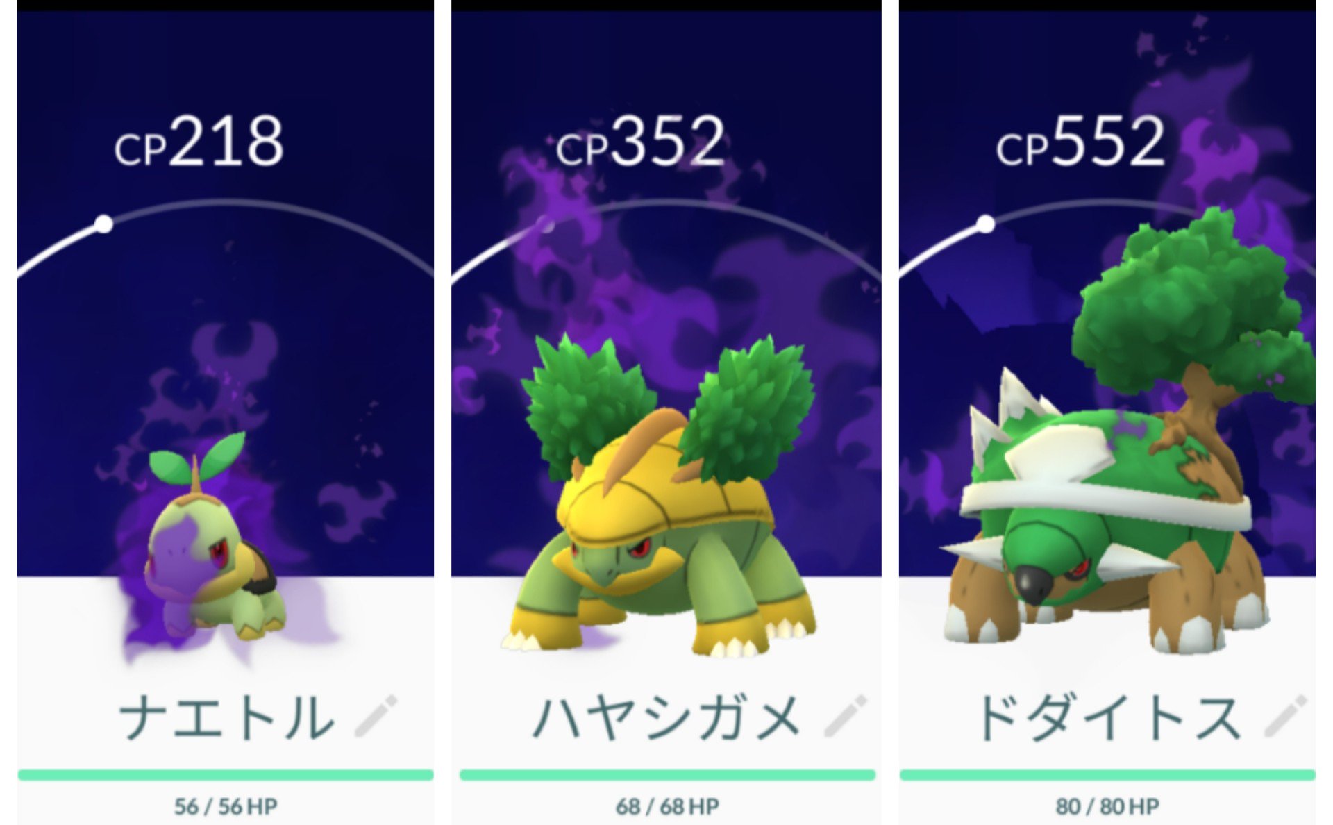 ぱおぽこ 色ちがいナエトル 色ちがいハヤシガメ 色ちがいドダイトス シャドウナエトル シャドウハヤシガメ シャドウドダイトス キターーー ーーー ポケモンgo コミュニティデイ 暑い中 頑張りました T Co 7frt33y1zv