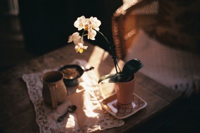 Ben çiçeklerin samimiyetine inanıyorum. İster tenekeye ekin ister en pahalı saksılara, Emeğiniz kadar güzelleşiyorlar..