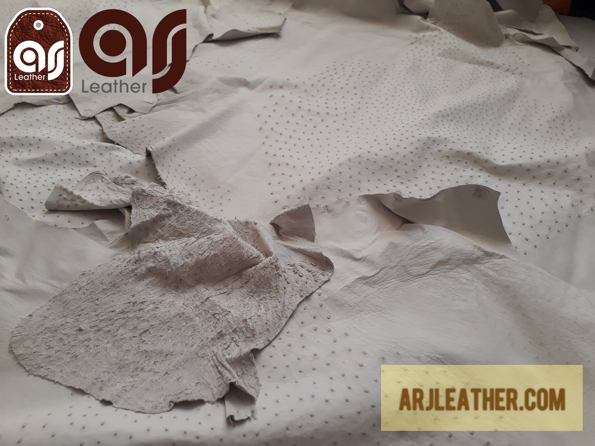 ArjLeather's tweet photo. White crust ostrich leather
Ability to paint as ordered by dear customers
https://t.co/AQ6dec4gkE
#ostrichleather
#ostrich_skin #ostrichskin #ostrich #leather #skin #leatherfinishing #جلدالنعام #cuirdautruche #cuir #cuir_dautruche #dautruche #หนังนกกระจอกเทศ #leathercolored https://t.co/aQtGMPB2yk