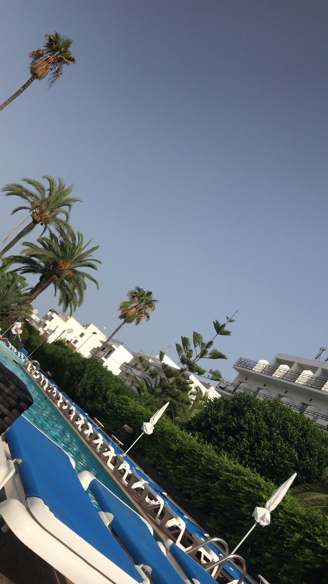 CallumLemay's tweet photo. Hows your Sunday https://t.co/ClVFODlKeN