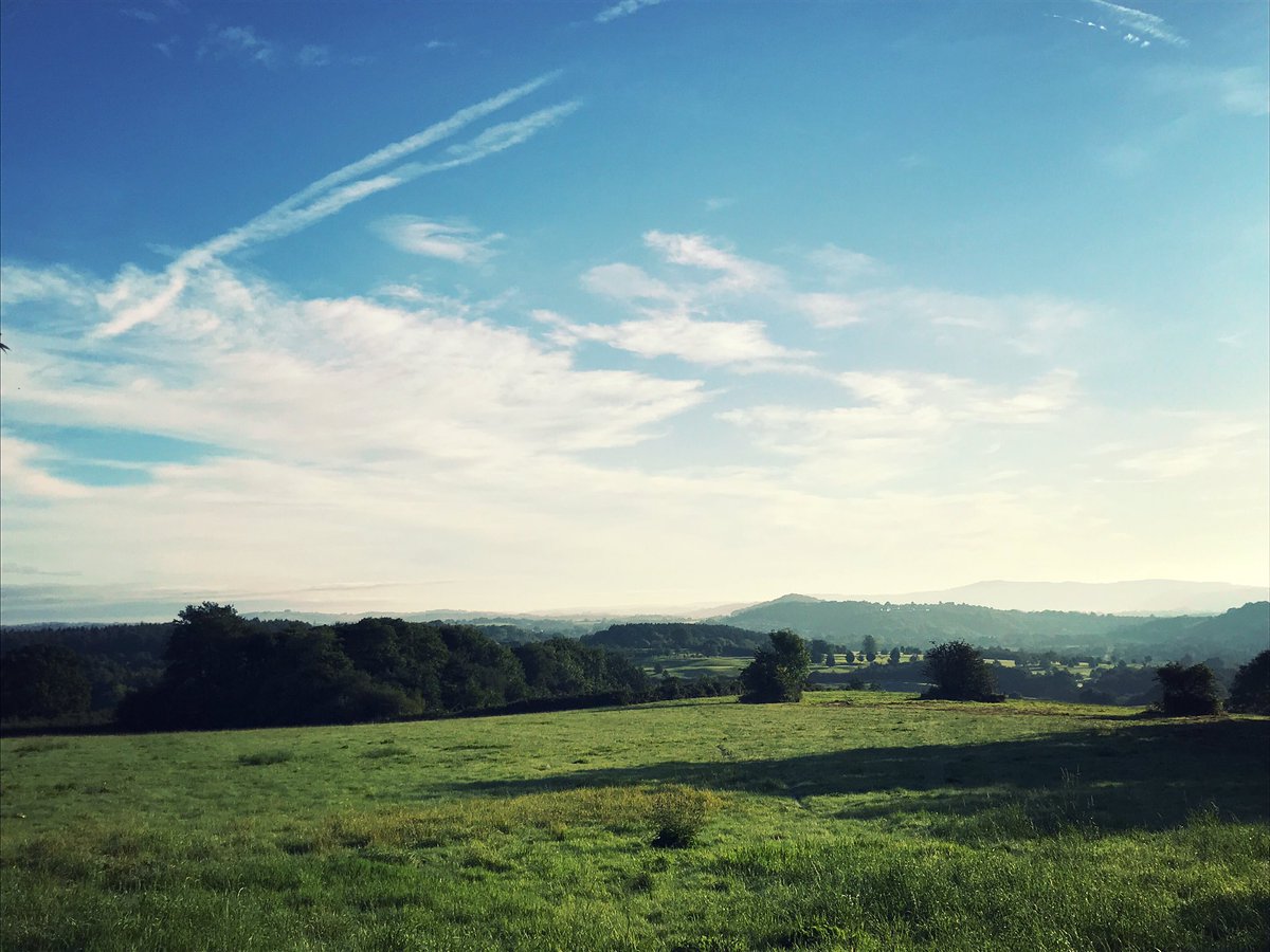 Mutinyshaving's tweet photo. The #14locks canal trail through #Rogerstone #Newport looking absolutely stunning this morning. No cows, but plenty of gorgeous views & wildlife ❤️🌎♻️ #jointhemutiny #mtb #cycle #cycling #brecon #trail #monmouthshirebreconcanal #instapic #photo #image https://t.co/TmrP3xLi3e