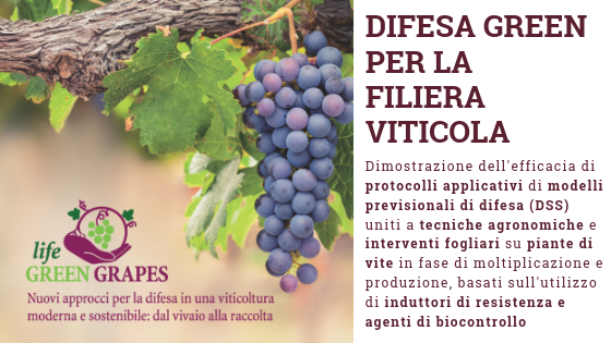 evoinos's tweet photo. "Dal Vivaio al Vigneto" Life Green Grapes: in a modern sustainable viticulture, follow vine health from nursery to harvesting #tracing #biocontrol #biodiversity https://t.co/IUf5Mox2Z5 #transmediterranean @italyincyprus @CyprusinItaly @CyUniTech https://t.co/8Nkn1pZ21u