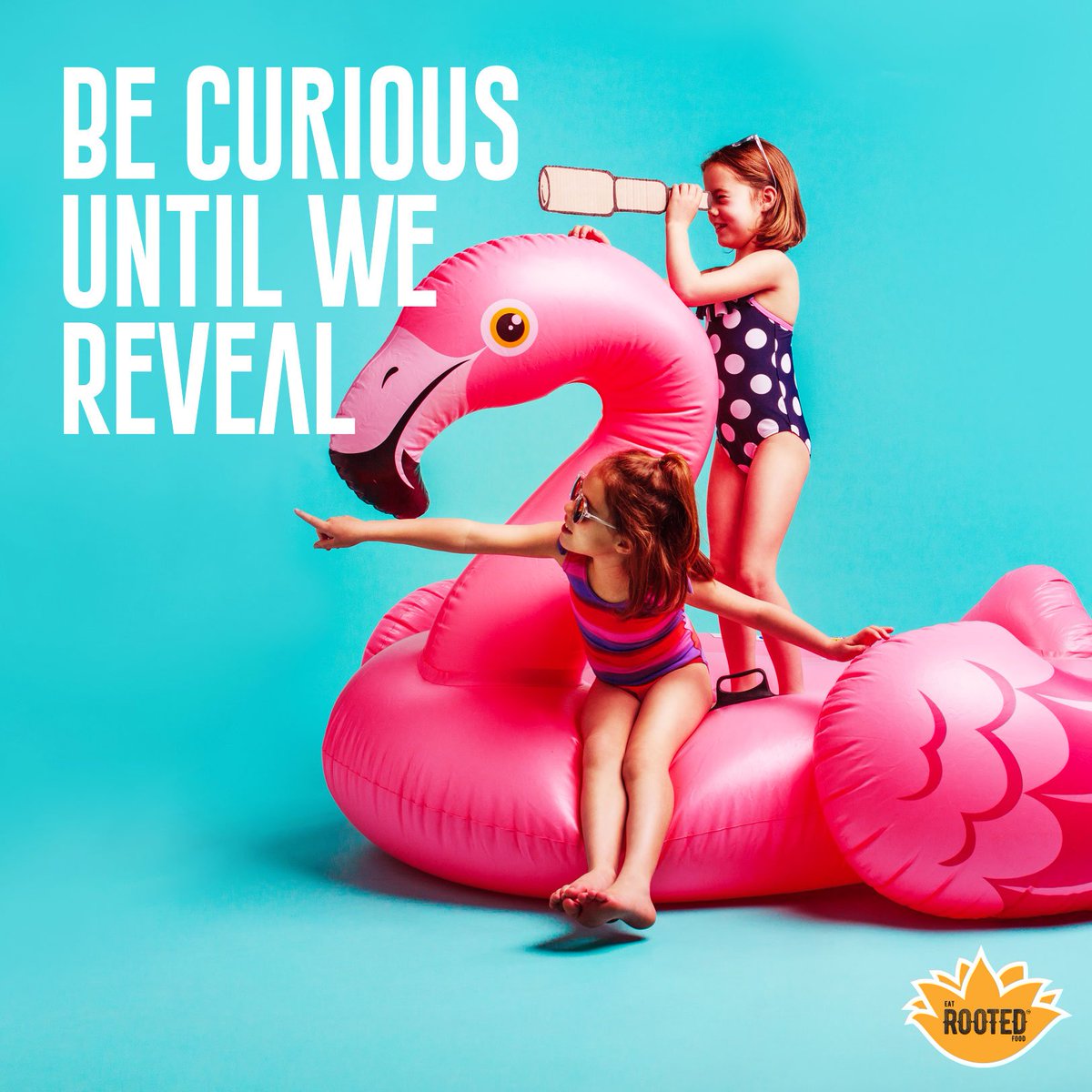 KamalKitgroup's tweet photo. Be Curious Until We Reveal!!

#poppedlotusseeds #makhana #snack https://t.co/AWKSAglU8q