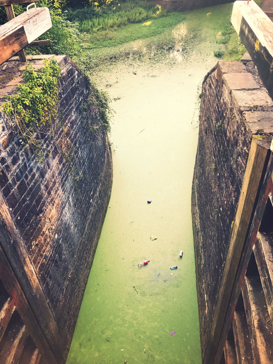 Mutinyshaving's tweet photo. Gutting to see plastic rearing its ugly head wherever you go, even at the most picturesque of places. The canal & lock, marred by disposable plastic. #beautyandthebeast! ☹️ #plastic #plasticpollution #disposableplastic #plasticwaste #litter #canal #14locks #Newport #Rogerstone https://t.co/odjKYMNEuL