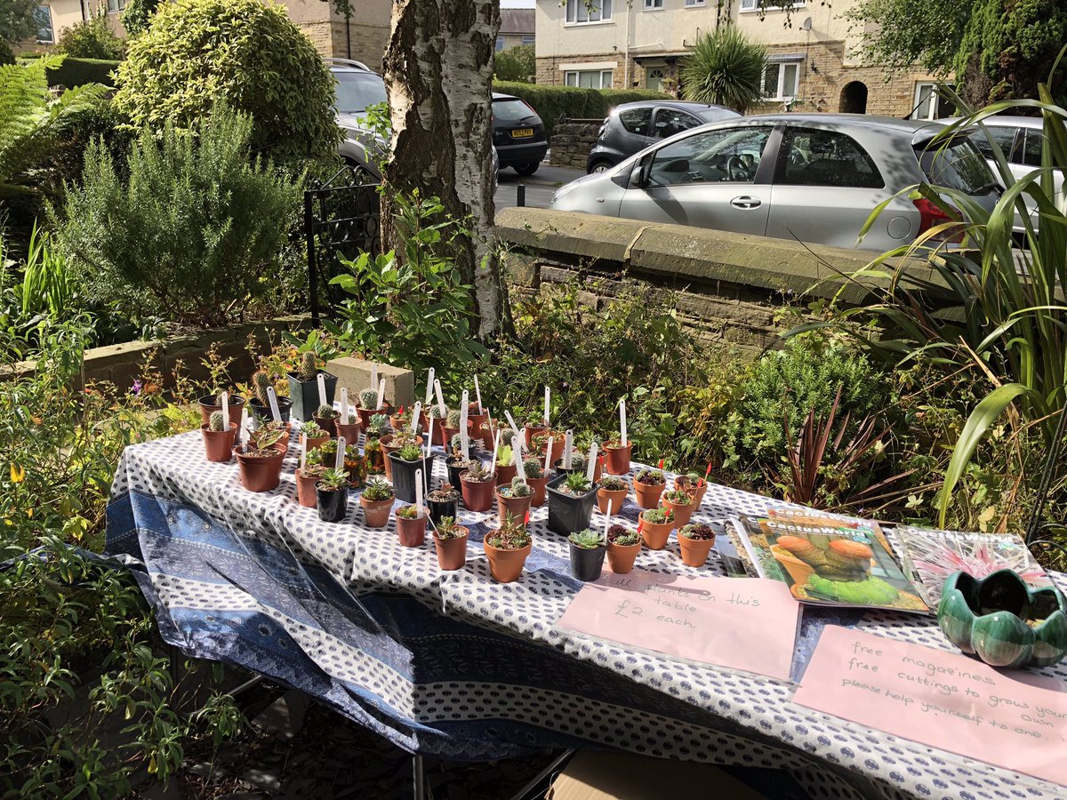 SaltsWalks's tweet photo. #BeatAPath to 47 Albert Rd #Saltaire today for displays of #cactus & #succulents by a member of the British C&S Society, which meets in the #Grade1Listed United Reformed Church, worth a visit too. A packed opening weekend for #SaltFest19 https://t.co/FkF4LBPi6L