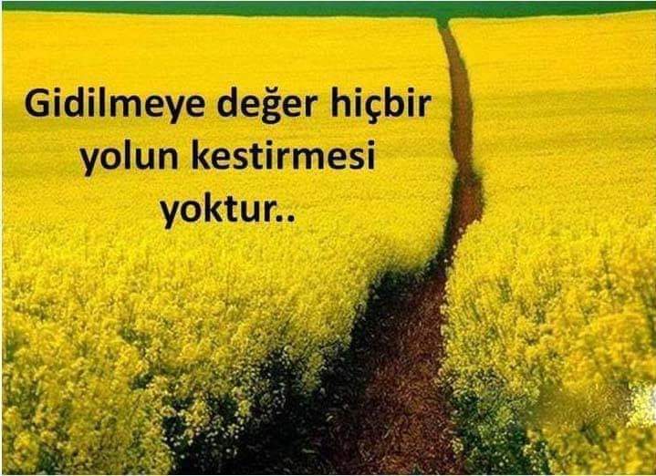 MUSAB BÜLENT (@musab_bulent) on Twitter photo 