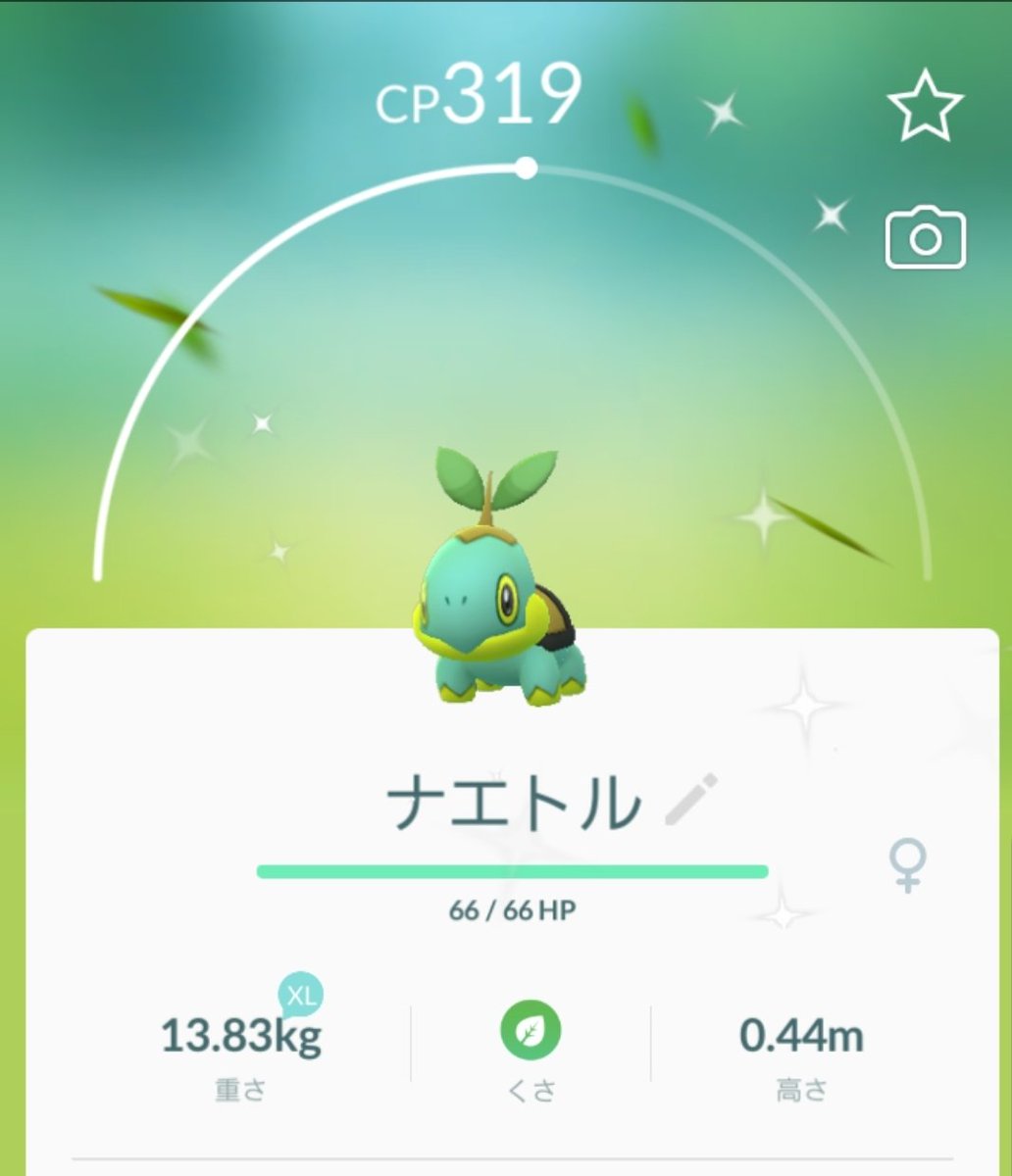 ナエトル色違い ナエトル色違い