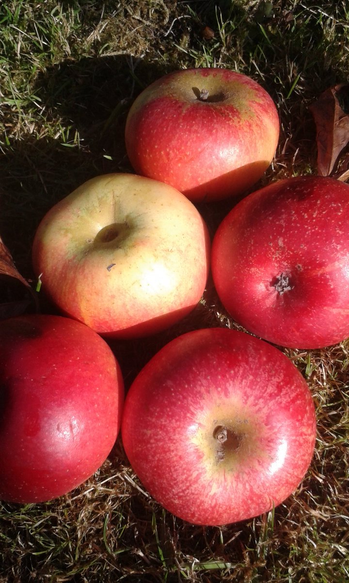 2Steps 4Words are doing 5 local festival event dates in the next few weeks, so maybe see you at one of them! Starting off with the Wonder of Wood Festival this weekend. Hopefully something for everyone with  details on the events page at musicglue.com/2steps4words