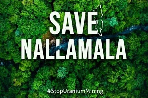 mujeeb_pvsindhu's tweet image. 