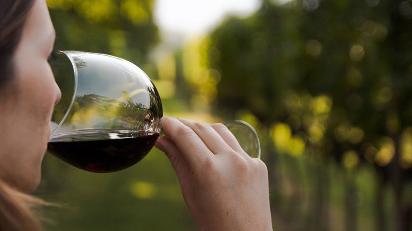 SevilladeCata's tweet photo. ¿Sabías que las personas que beben #vino tienen mejor flora intestinal? Un estudio realizado por la universidad Kings College de Londres lo acaba de confirmar. https://t.co/PHyhHA99o5 vía @vinetur #wine #winelovers #salud https://t.co/Vkq3yMhVCC