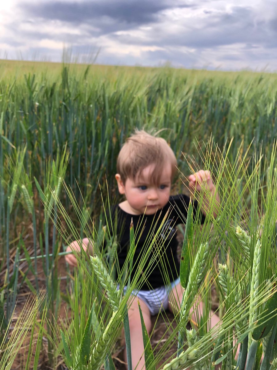 The little man enjoying Sunday crop inspections