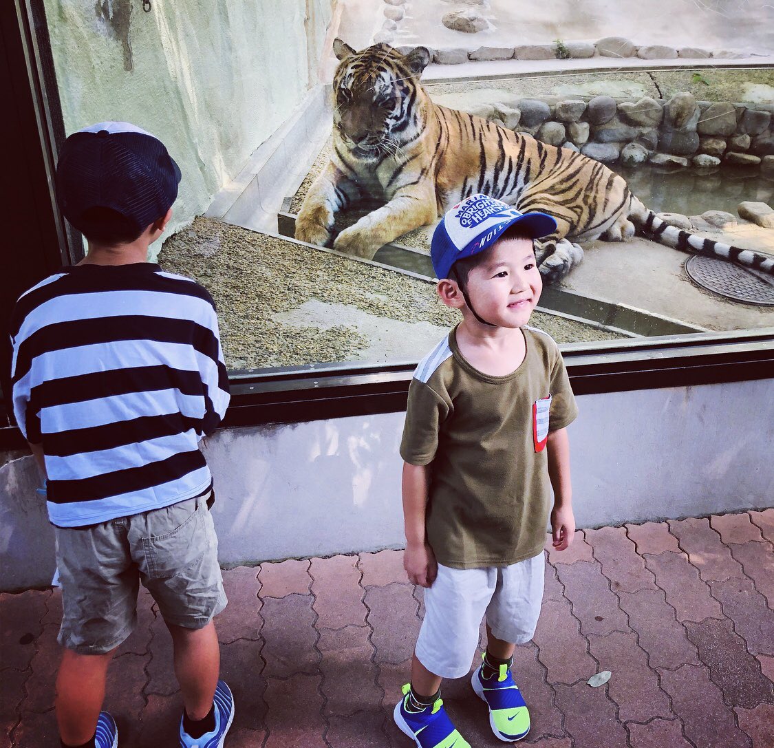 无可如风 (@william_shakel) on Twitter photo 