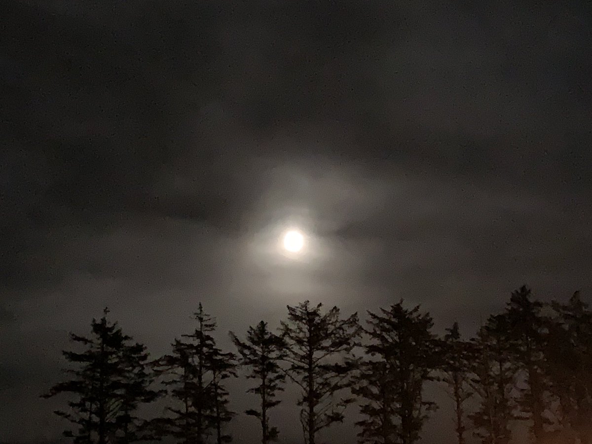 Dr_RussellEvans's tweet photo. Wrapped up a great WEEK 2 @NorthBeachHyaks!! We ended the week with FRIDAY the 13th, full moon, Hyak FOOTBALL!! This week was made even better as we had our Hyak Pride Band our in full force! More fun next week! #NBSD1920 #HYAKSontheRISE #NorthBeachNation #HYAKSGiveYouWINGS https://t.co/1RRXmWZhqM