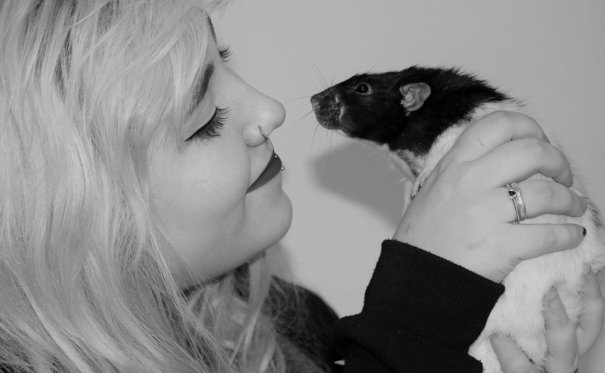 lanmijo's tweet photo. My daughter and her pet rat Lumos - they had a very special bond. #ratties @SirWilliamD @ChrisGPackham #animalsAndPeople #harryPotterLumos #galleryofthepeople https://t.co/yYvVI9LbFp