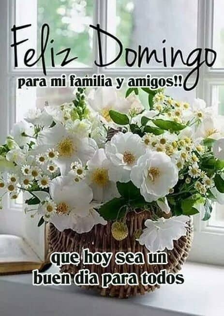 Elvira Annicchiarico on Twitter: "Feliz Domingo para todos… "