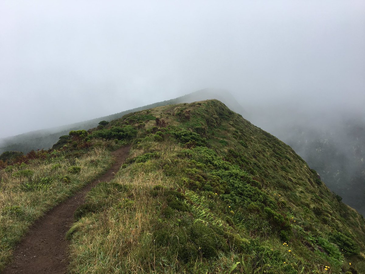 Sunday morning stomp around the caldeira on Faial Island last active over 400,000 years ago. Into the clouds we lost the sunshine but easy to see why these islands are so diverse in plants and flora species <a href="/UoEFieldAzores/">Azores Field Course</a> <a href="/chrislaing80/">Chris Laing</a>