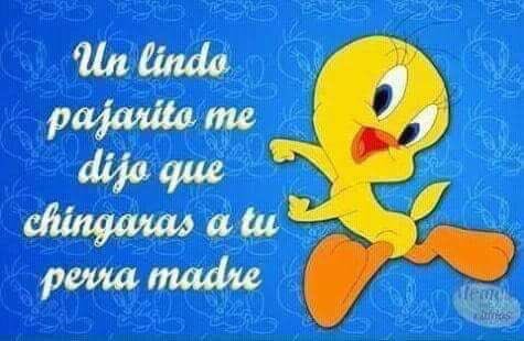 Ragoro2's tweet photo. @El_Universal_Mx Ese Pendejo haciéndose Chaquetas MENTALES lo que es vivir del Erario Publico y de la GENTE este DELEZNABLE Ratero engaña BOBOS si no tuvieras inmunidad ya te unieran roto tu Madre vienes  a EUA y muy DERRECHITO porque no haces tus Clásicas PEDEJADAS CAMARADA y tus compras en CUBA https://t.co/4khtzl4WOx