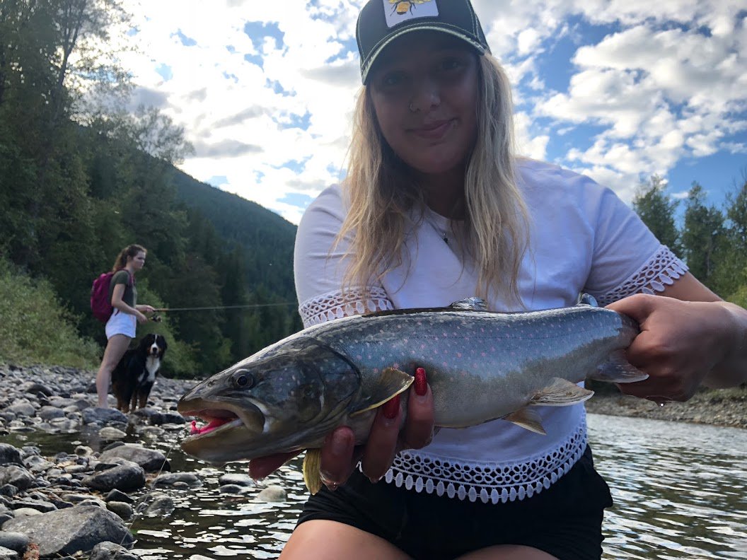 FredsTackle's tweet image. What right-minded #bulltrout doesn't love a pink jig? #wishingiwasfishing # beautifulbc #fishbc