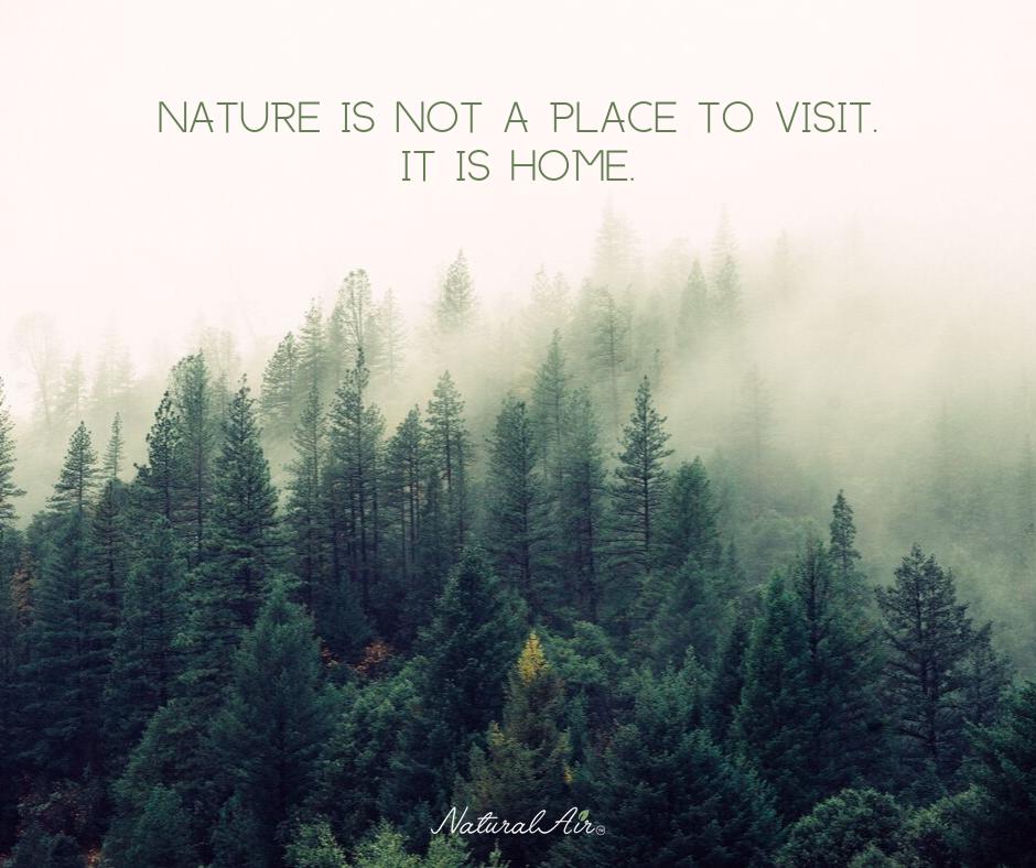 naturalairoils's tweet photo. https://t.co/IDuEXRkGAX