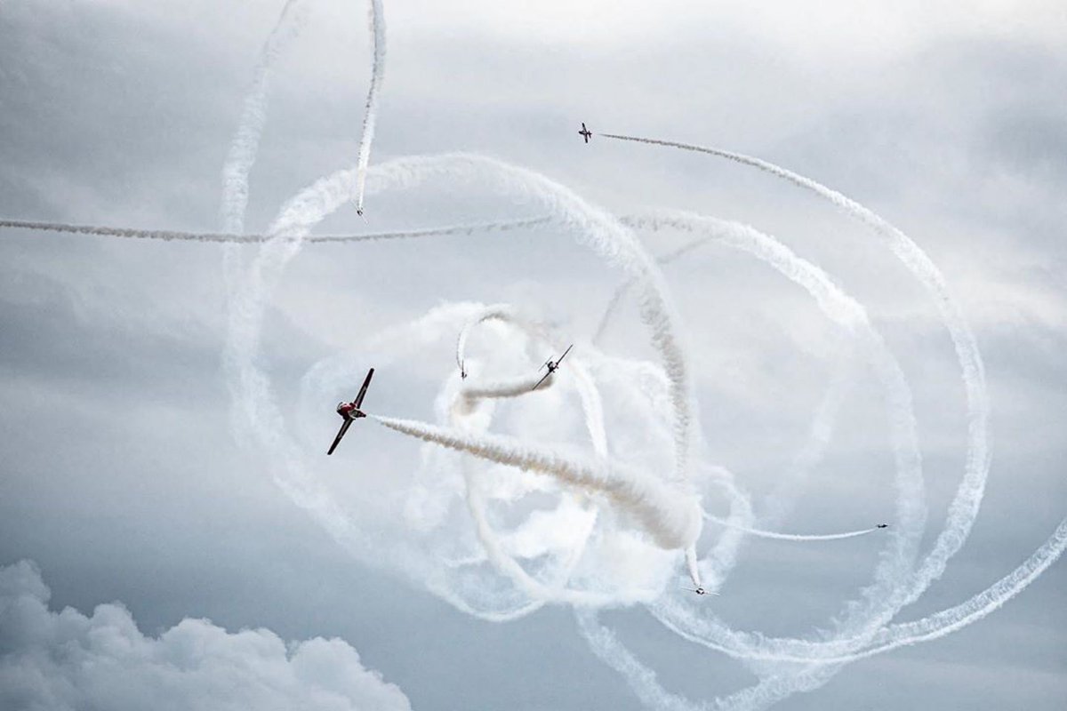 CF Snowbirds tweet media