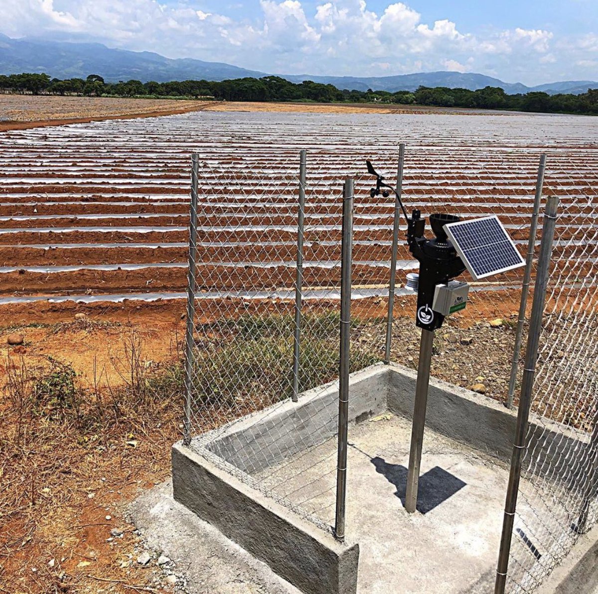 instacrops's tweet photo. Nuestros partners de #agrosix instalando nuestros servicios de #climadeprecision en el grupo Garsol, productores de sandía y melón en la región de Chiquimulilla, Sta Rosa, Guatemala. 👨🏻🌾🍃👩🏼🌾 https://t.co/Bp3EPCxAY8