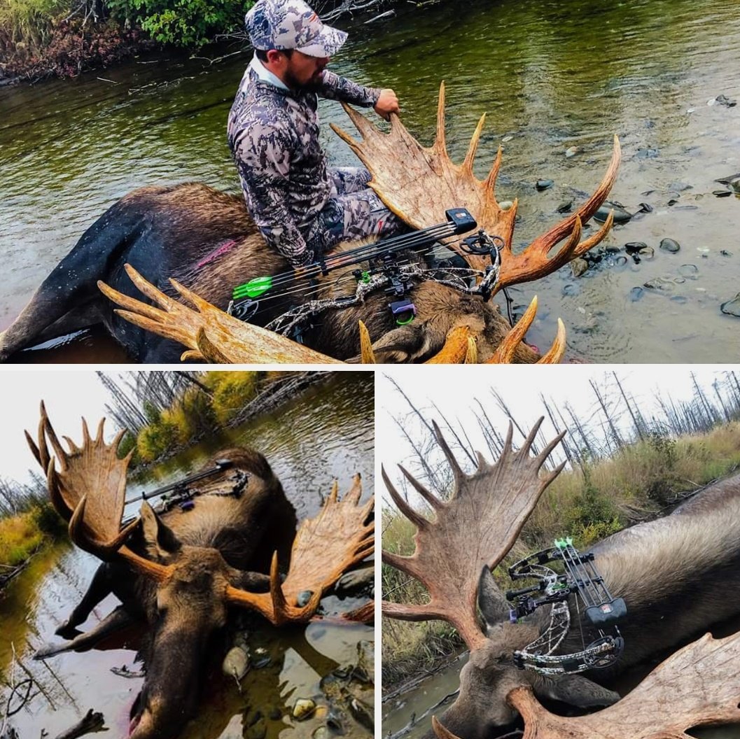 killnstix's tweet photo. Nigel Fox letting a killnstix through a beautiful #bullmoose #archery #iamhunter #bowhunter https://t.co/vTOyep3zDm