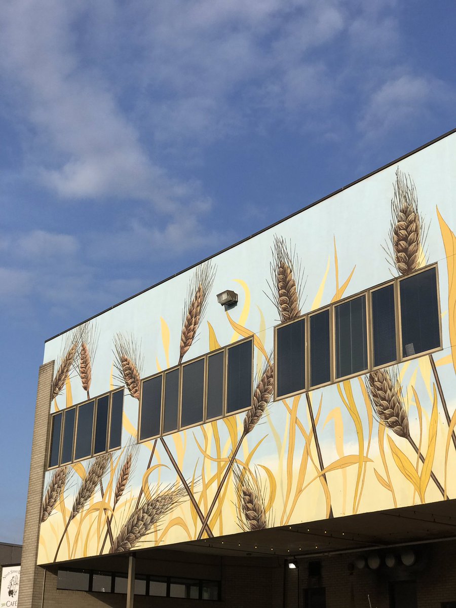 raleighwhatsup's tweet photo. Make #Durham colorful! #muralhunting in Durham yesterday! @DurhamNC @CityofDurhamNC #weekendvibes https://t.co/SROwYnP36g