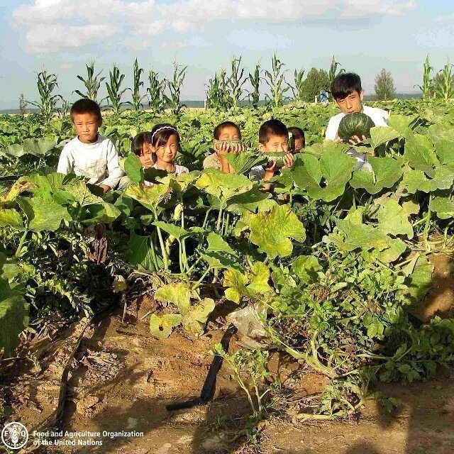 Adequate #nutrition and education are key to the development of children and their future livelihoods.

School gardens can be a great way to teach children about healthy eating! 

#ZeroHunger #healthydiets