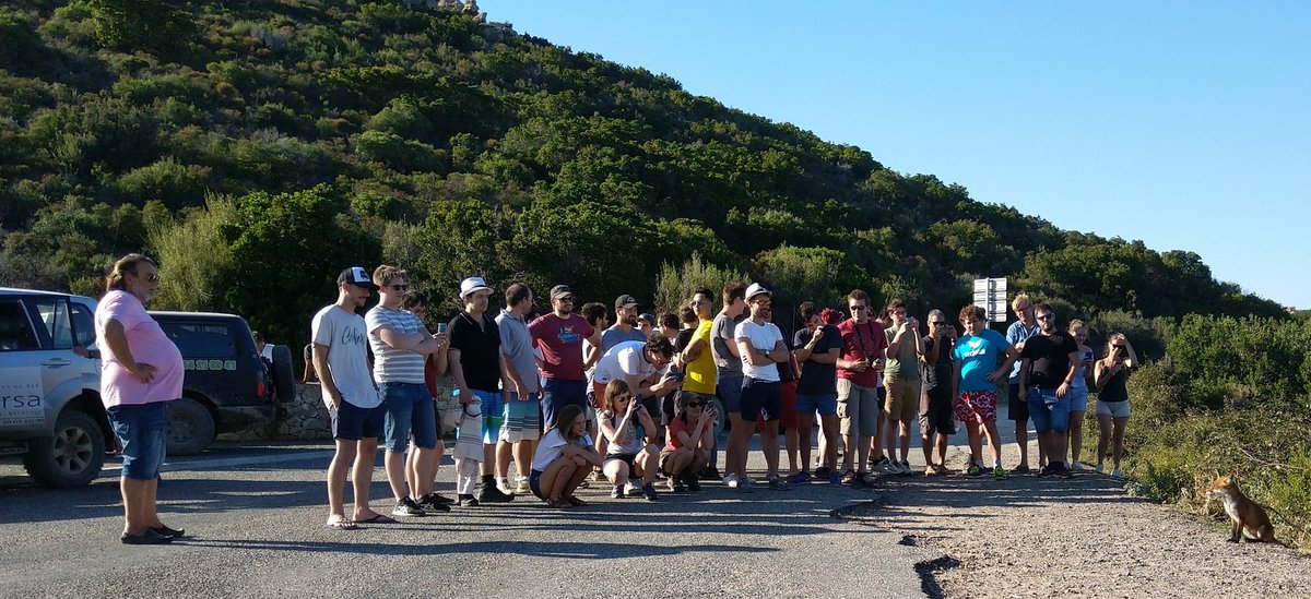SXavi3r's tweet photo. Merci @matterstech pour ce séminaire en Corse ! ☀️ https://t.co/S575phjHuM