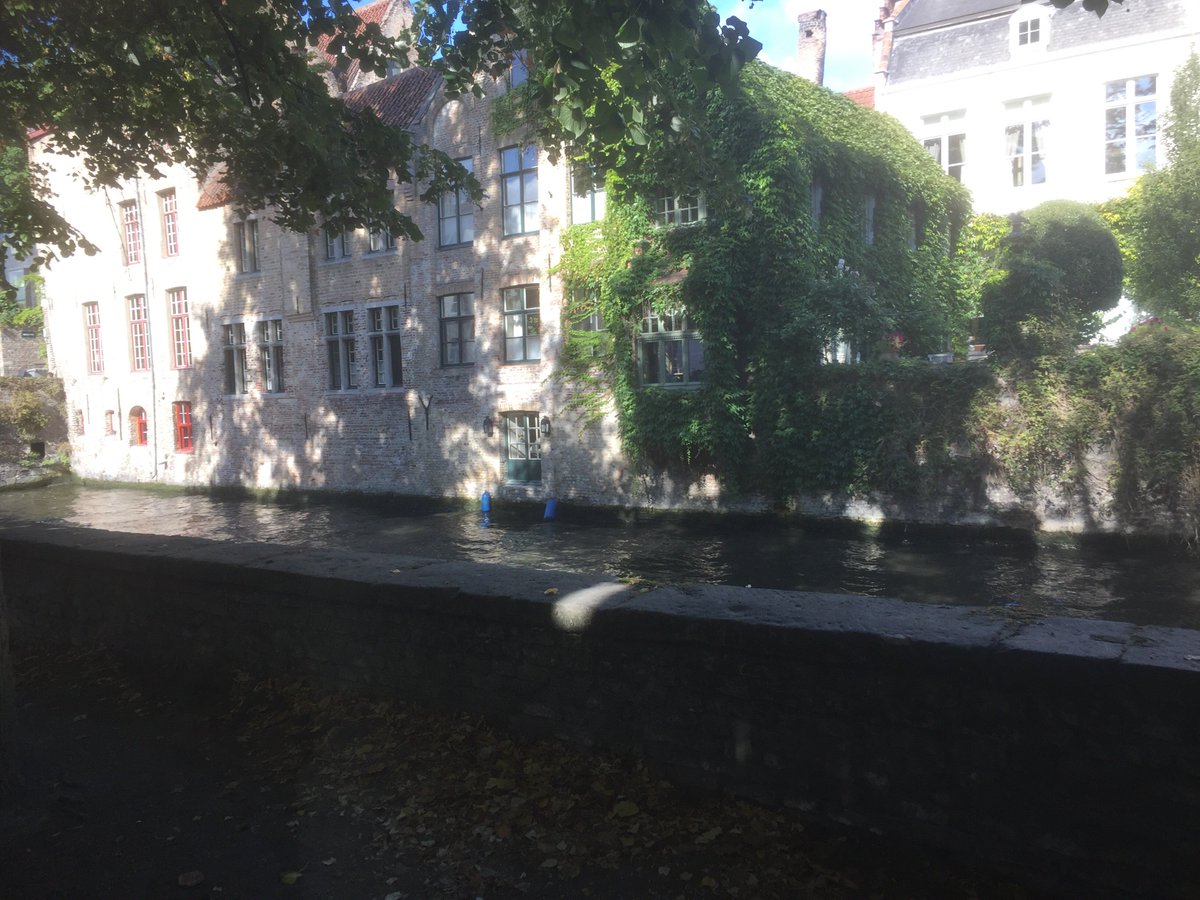 Life Of Riley tweet media