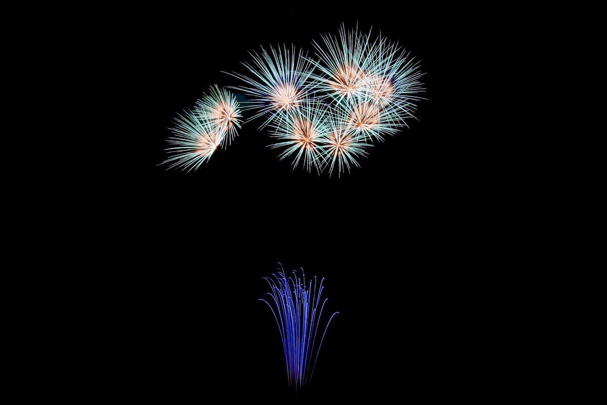 多摩ポン せいせきみらいフェスティバルの花火綺麗だった 聖蹟桜ヶ丘 花火大会