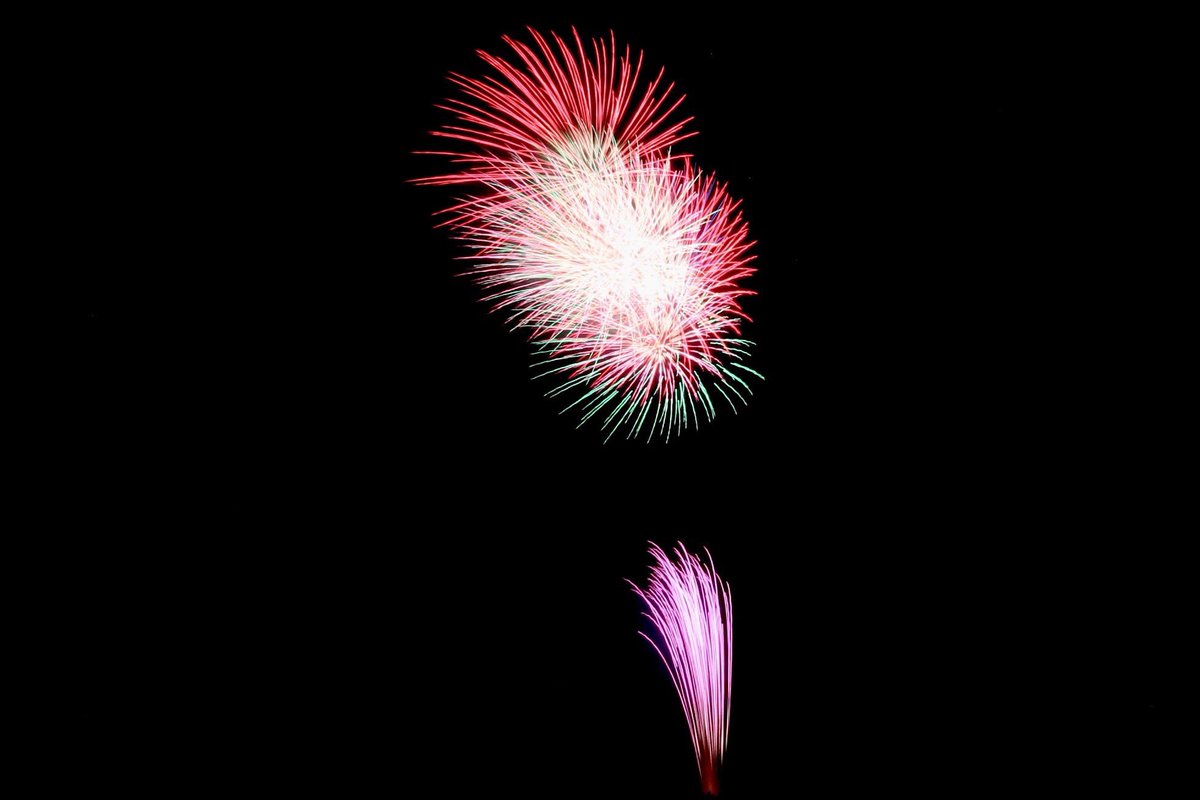 多摩ポン せいせきみらいフェスティバルの花火綺麗だった 聖蹟桜ヶ丘 花火大会