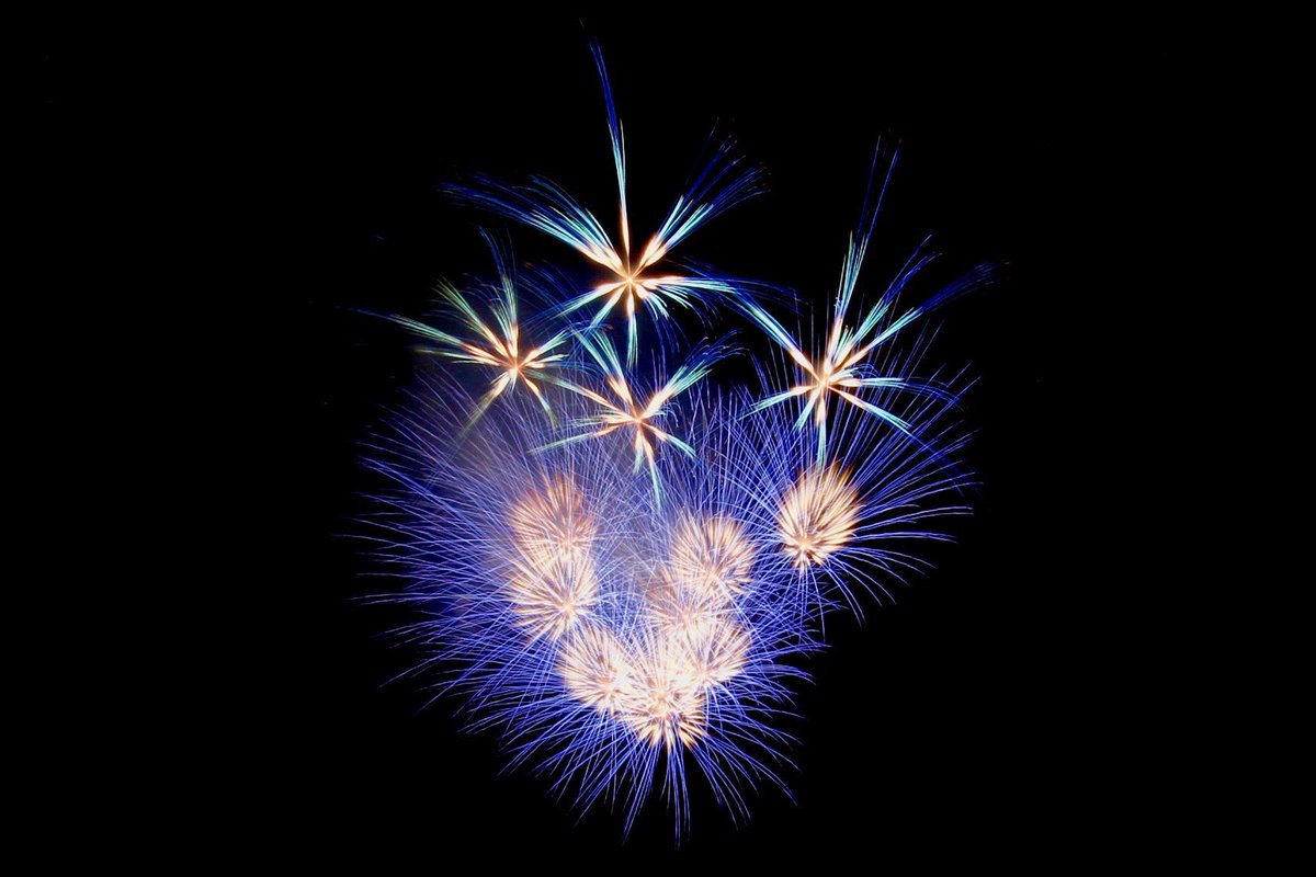 多摩ポン せいせきみらいフェスティバルの花火綺麗だった 聖蹟桜ヶ丘 花火大会