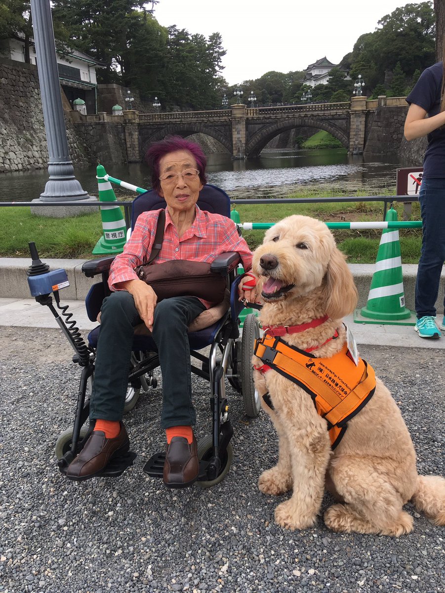 福 日本聴導犬協会 介助犬 でんちゃんとユーザーさん 意外と行っていない皇居と東京駅を見たかったので満足です 海外の方からもたくさん声を掛けて頂きました 多くの方が介助犬をご理解 下さり ありがとうございました T Co Ghttiy5iqa Twitter