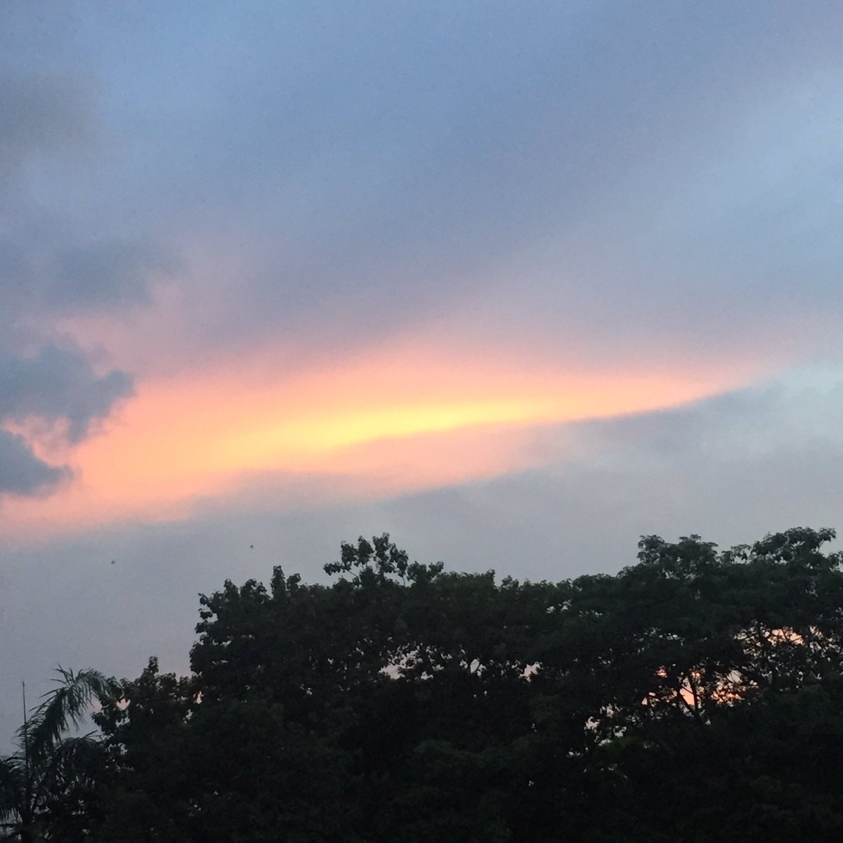 bright__Sky12 tweet media