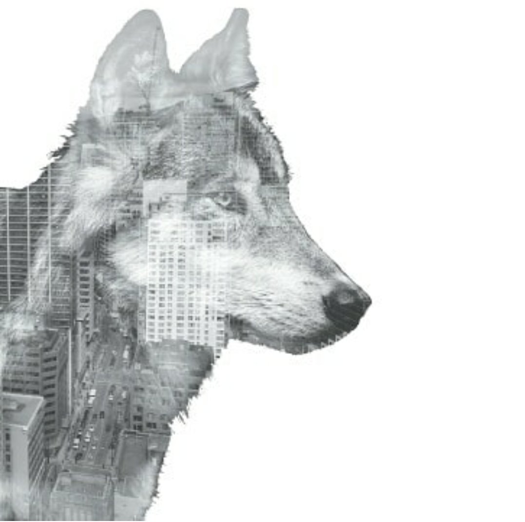 AMilettedesign's tweet photo. 2/3 City vs Nature series
#GraphicDesign #Toronto #Canada https://t.co/VslHIhLk7Y