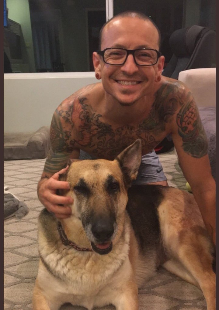BinneyLouise's tweet image. Cannot begin to explain how much i adore this gorgeous man. My heart literally aches for you @ChesterBe, you've made me sing, dance, laugh, love, smile & cry. Your tenderness will never be forgotten ๐๐ฆ๐ญ๐