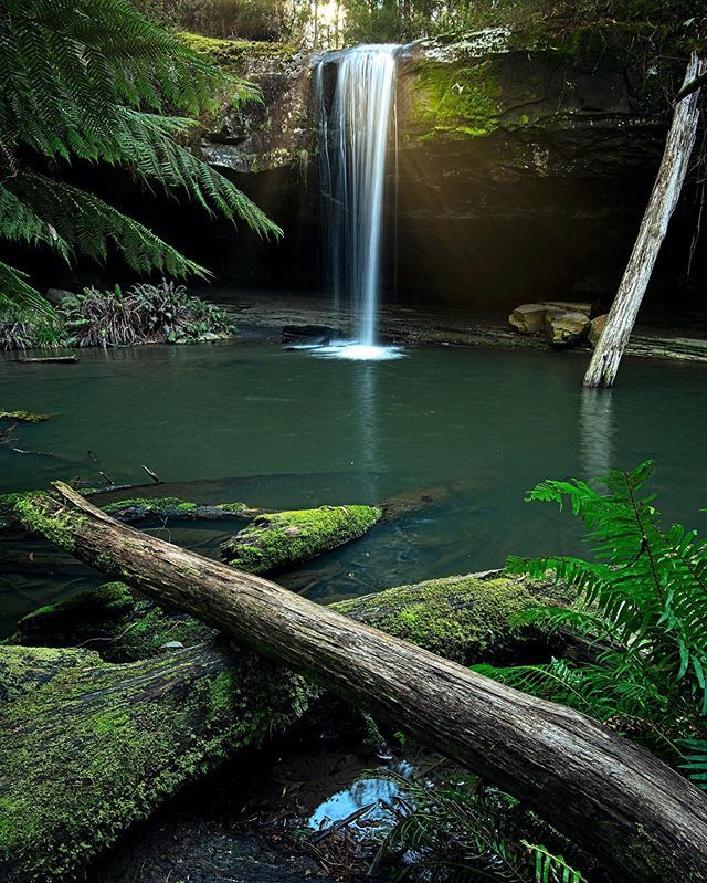 e_blessing's tweet photo. Managed to shoot one of Victoria’s many waterfalls with the best flow I’ve seen there. The 6km round trip through Lucius rain forest was definitely worth it. Had a great day with some new friends and some that I have had the pleasure of shooting with bef… https://t.co/NC2c1WTwXG https://t.co/XpqRiZGPRj