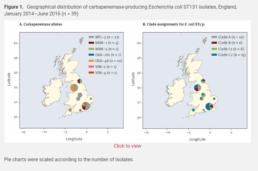 Eurosurveillanc's tweet photo. Geographical distribution of #carbapenemase-producing #Escherichia #coli #ST131 isolates, #England, January 2014โJune 2016 https://t.co/ZteDq9c2zr
#EscherichiaColi #EColi #AntimicrobialResistance #AMR #WholeGenomeSequencing https://t.co/WJ0LlqFKaX