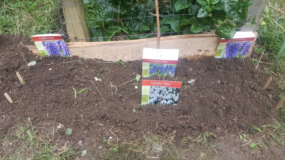 gbrf's tweet photo. Spring 2020 flowers are planted https://t.co/1UJhA1l7Vr