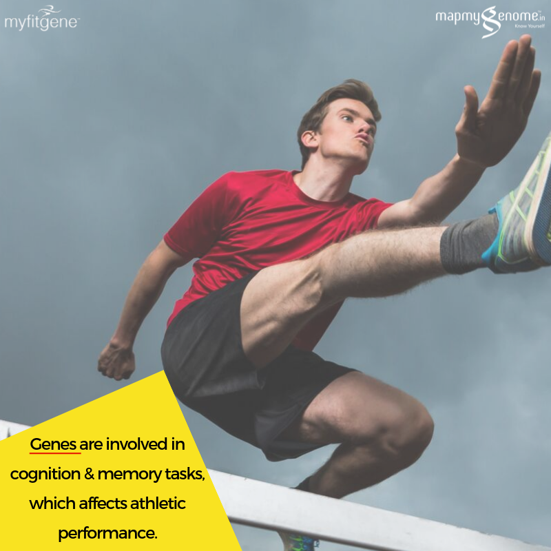 mapmygenome's tweet photo. Studies show that exercise performance &amp; feedback depends on cognitive skills and learning, too. Know your intellectual side to optimize your training. 

Get fit with MyFitGene : https://t.co/8WPLv04tu7 
 
#GetFitWithMyFitGene #FitnessIsLife #FitIndiaMovement #GYM #MyFitGene https://t.co/5LrIKisg4i