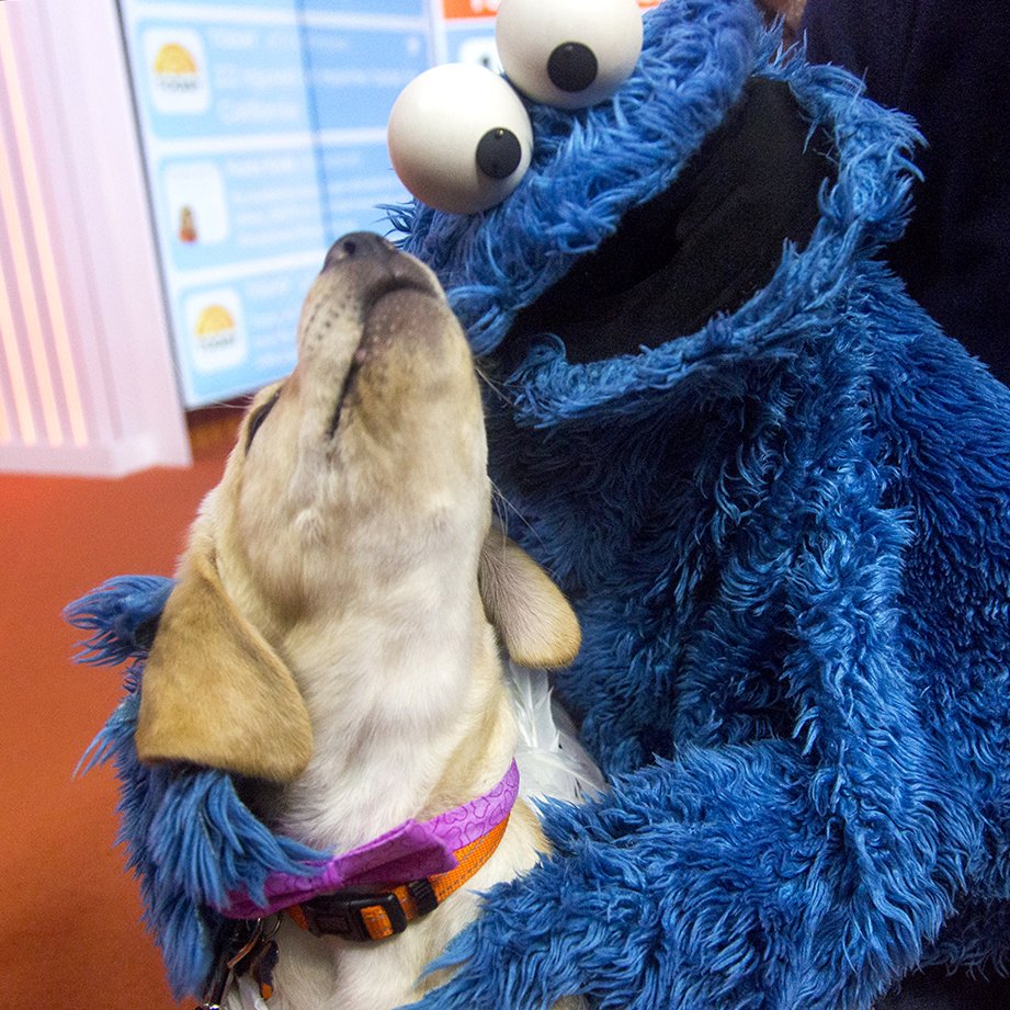 Sesame Street on ".@MeCookieMonster and a - it just get any cuter this! https://t.co/vcP26Q9iln" / Twitter