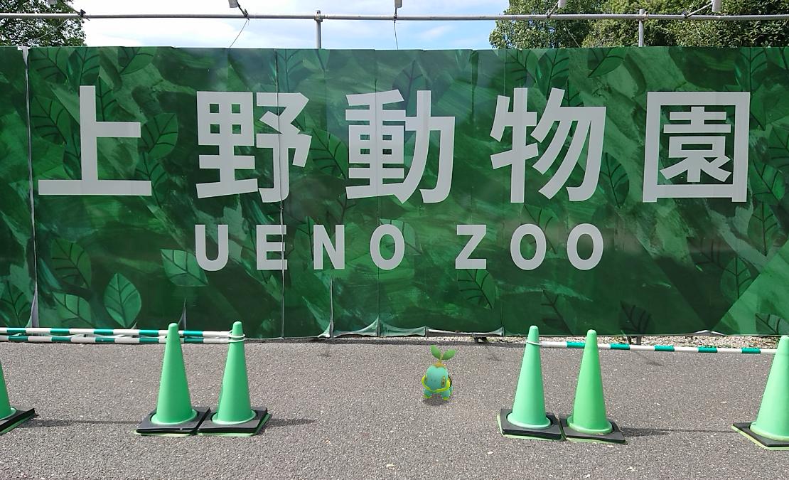 窓木 動物園でポケモンgoを起動したら 本物の動物がいる場所にポケモンも出てくるというシュールな状況になるのかな と上野動物園 で試したら 本当にポケモン出てきてたよ 園内をまわる合間の休憩タイム中にポケモンgoをプレイして 色違いナエトルを 窓木 動物園でポケモンgoを起動したら 本物の動物がいる場所にポケモンも出てくるというシュールな状況になるのかな と上野動物園 で試したら 本当にポケモン出てきてたよ 園内をまわる合間の休憩タイム中にポケモンgoをプレイして 色違いナエトルを