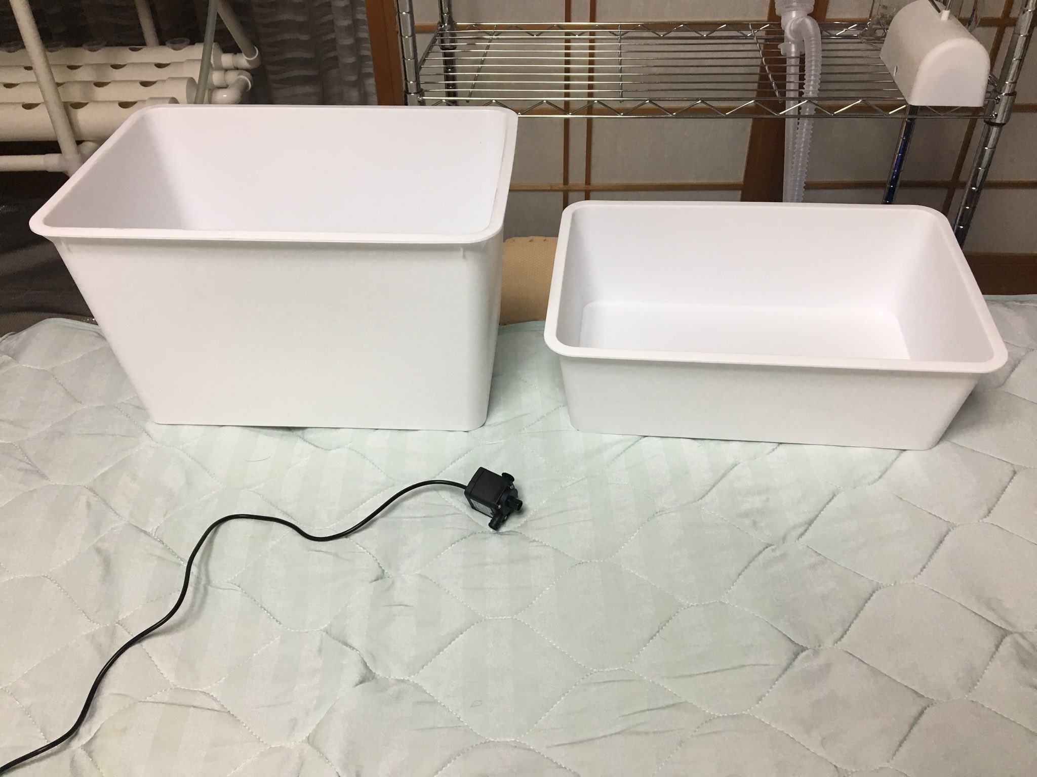 水耕栽培 最近気づいた事ですが ダイソーで売ってるスクエア収納ボックスって 重ねると上下に分かれた2つの空間が出来ます しかも その隙間に揚水ポンプのコードが上手いこと通るんです 別売りですが蓋まで売ってます これってもうほぼ水耕栽培装置