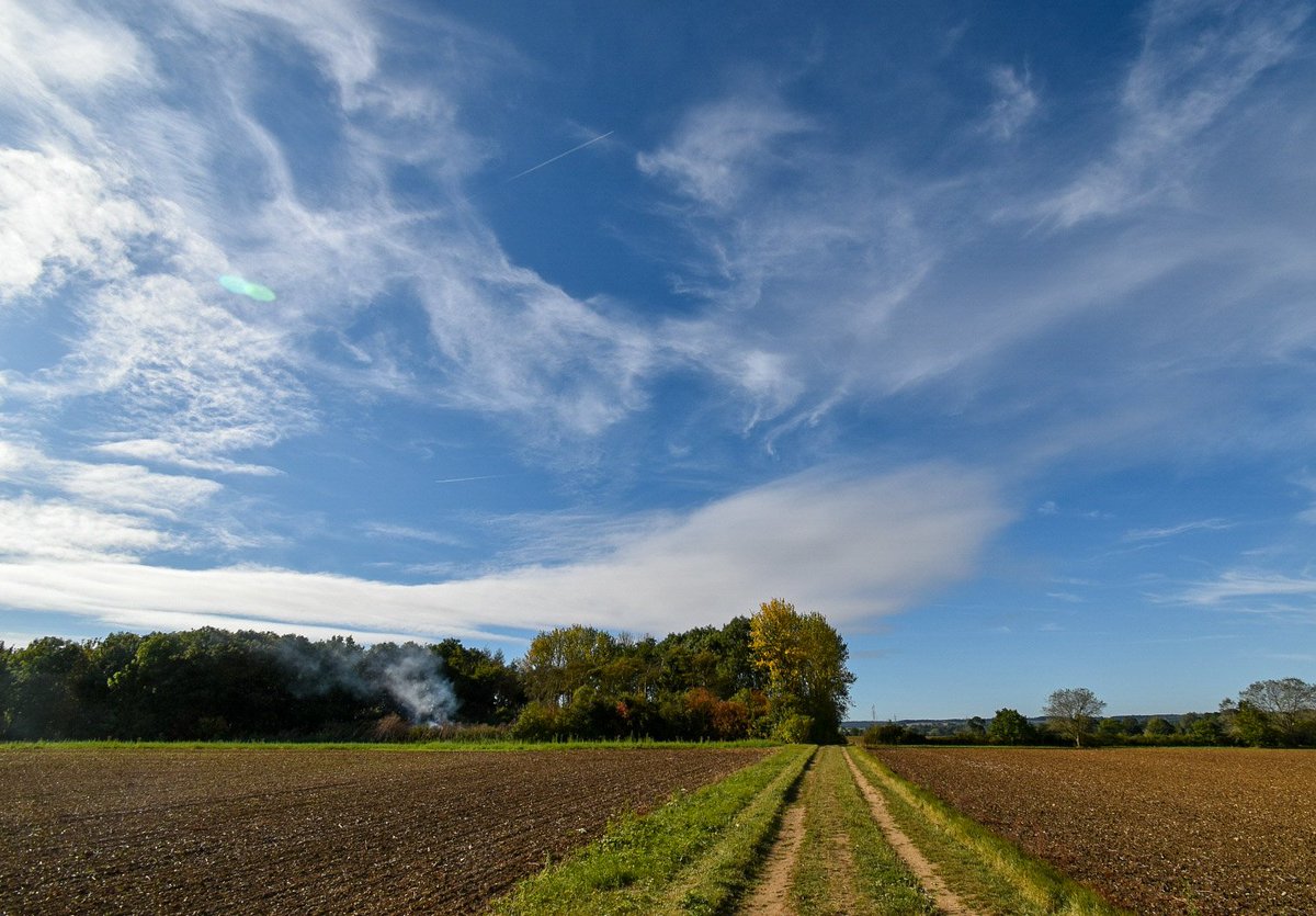 CarlaSears's tweet photo. #SundayMorning #willian #Hertfordshire #ploughedfields
#AutumnIsComing #Autumn #bluesky #clouds #loveukweather #ThePhotoHour #earthcapture #earthandclouds @WeatherHerts @hertslife #photography @CloudAppSoc @dbirch214 @5_News #getoutside #landscapephotography https://t.co/UkUmlGmwFX