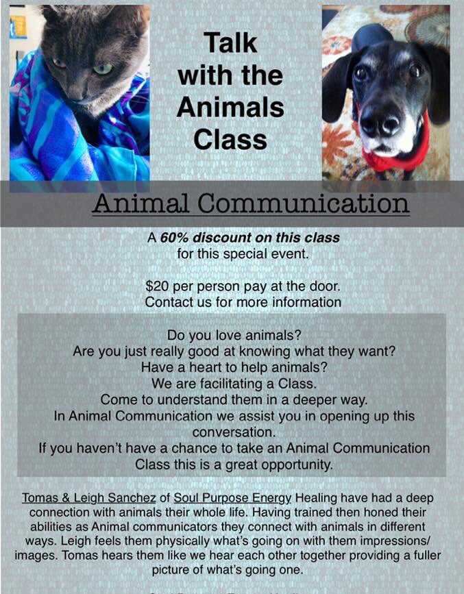 Going to be in #StevensPoint #Wisconsin at the Metiphisical Expo #event today doing readings Animal Communication & energy healing #Reiki also at 1 PM teaching a class looking forward to connecting with you.