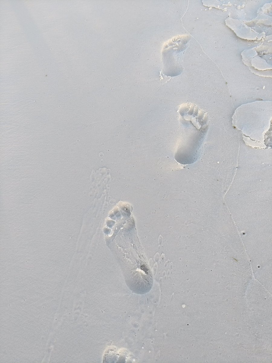 ITTechCafe's tweet photo. I spent the week at the beach and reflected - How can I empower students to make their mark in life, their own footprints in the sand? #drivingquestion #Innovateinsidethebox @gcouros @KatieNovakUDL #GRIT #Empower #DesignThinking #startwithempathy https://t.co/5aTGzhSrto