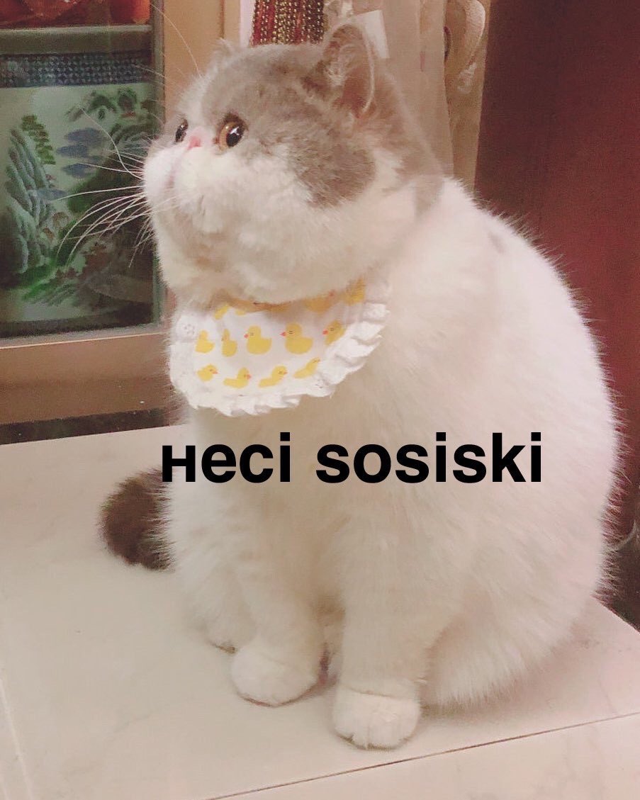 EEg_tDIXoAAbdm8?format=jpg&name=medium