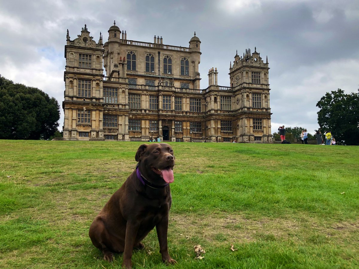 Grace enjoying an afternoon at #WayneManor aka #WollatonHall
